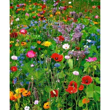 Bee Meadow Annual Mix 200g